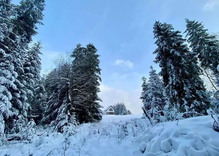 Prázdninový dům U Zajaca *